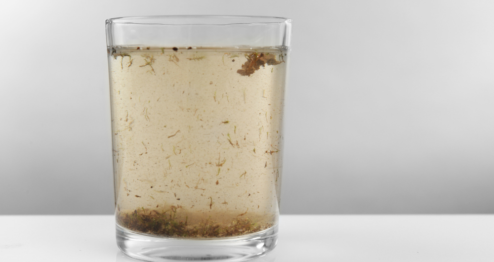 Your Water Filter Isn’t Removing New Contaminants