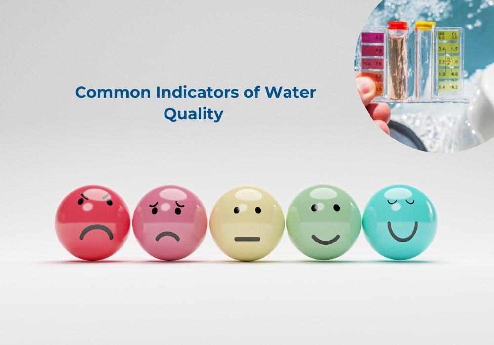 Smilies and water indicators